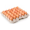 Huevos Extra Color Bandeja 30 unidades